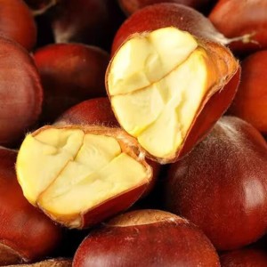 有机板栗新鲜蔬菜采摘配送认证农场直发生板栗鲜板栗 2.5斤